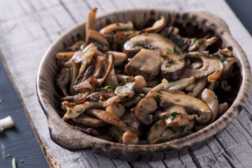 Cocina con hongos: una invitación a descubrir el mundo fungi y su valor en la producción fueguina