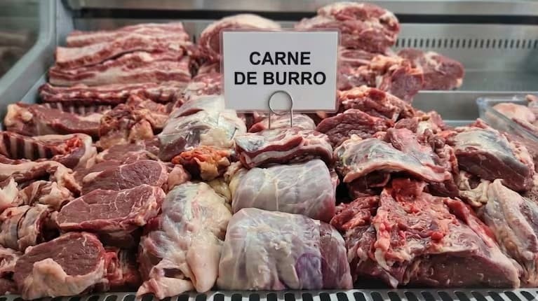 Carne de burro en la Patagonia: un proyecto productivo que busca abrirse camino en el mercado