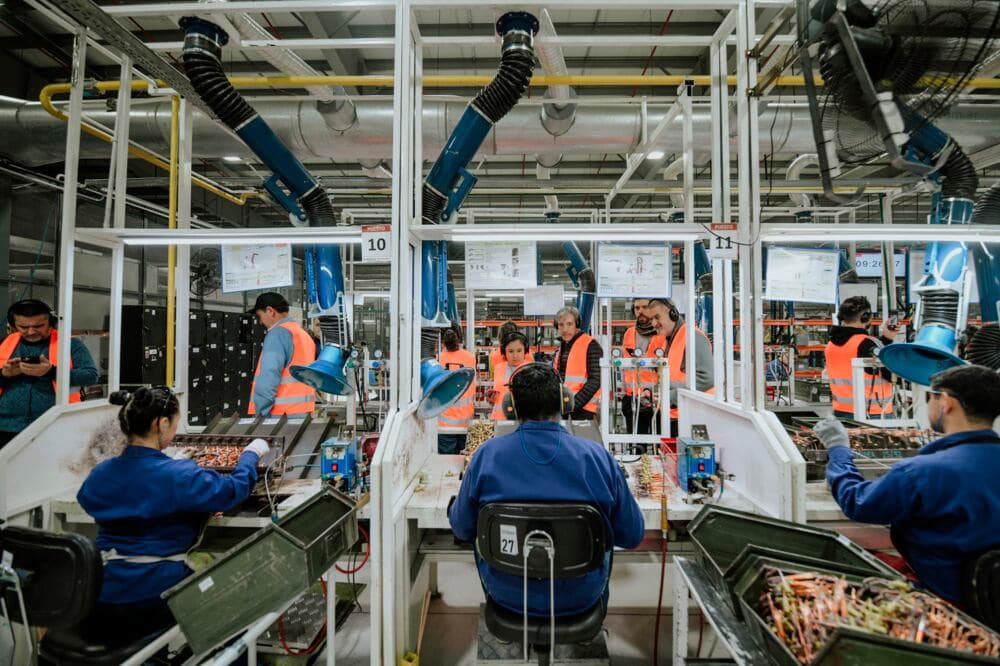 “El decreto del presidente Milei no afectará el régimen industrial de Tierra del Fuego”