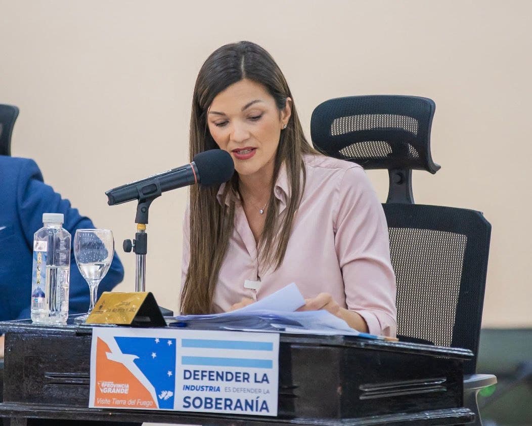 Zamora propone potenciar el régimen industrial fueguino para generar más empleo