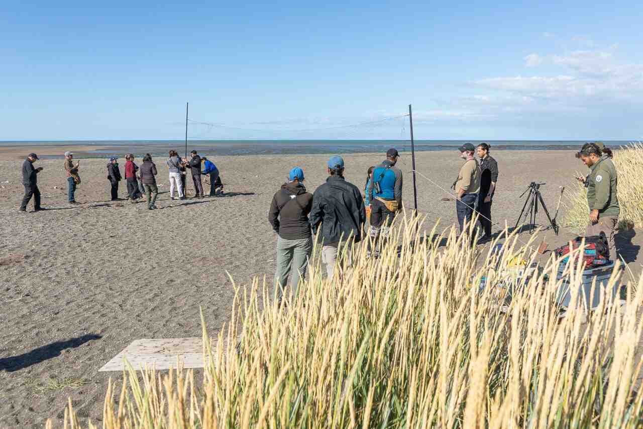 El Municipio acompañó una capacitación científica clave para la conversación de aves migratorias en Río Grande