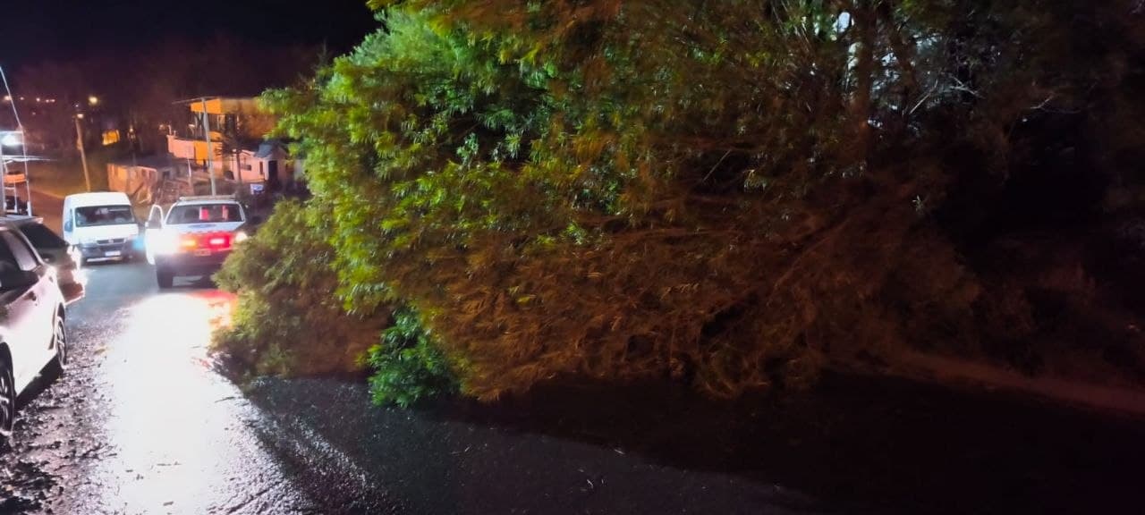 Alerta Amarilla por Viento: Defensa Civil activó  comando de incidentes en Ushuaia