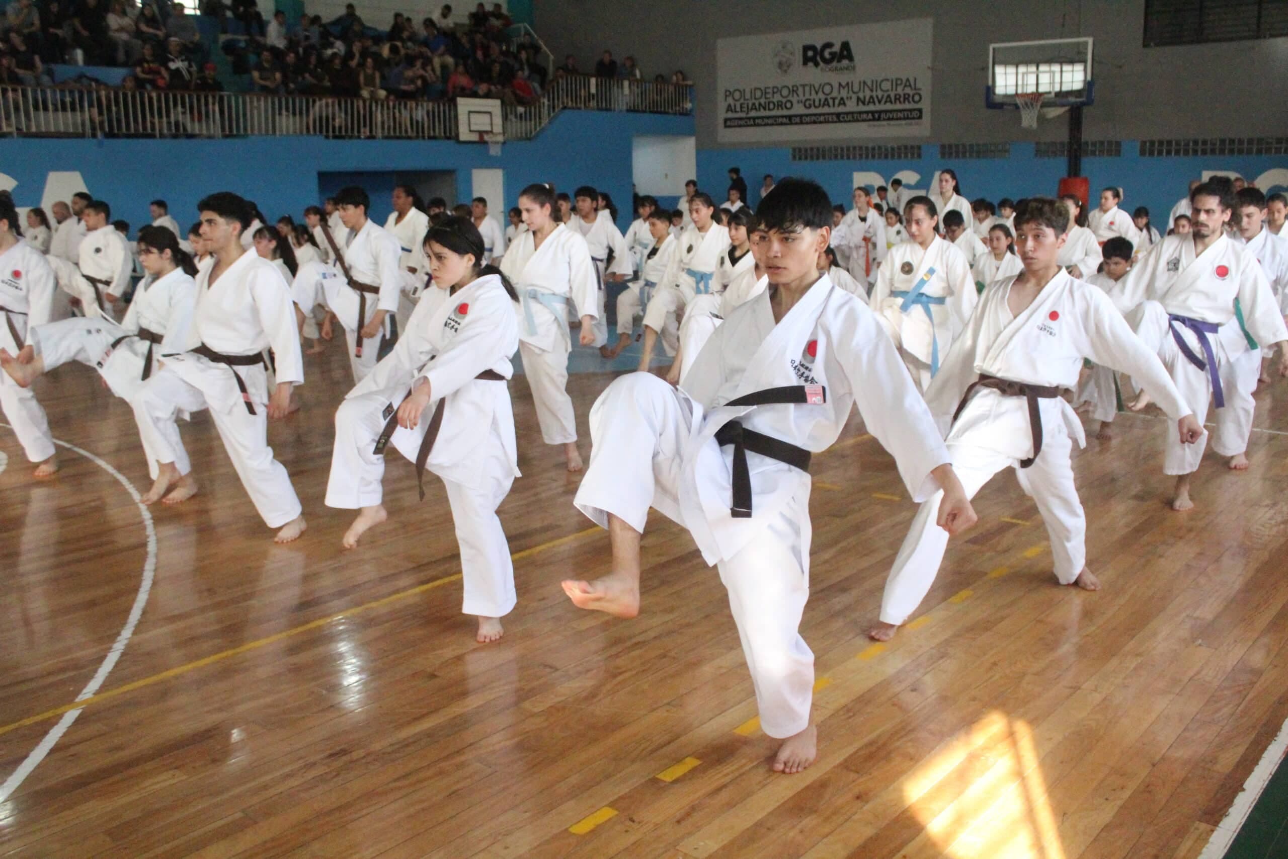 Curso técnico, clase general y exámenes con Mitsuo Inoue