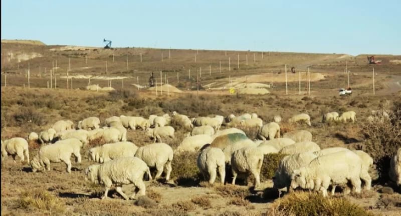 Aumenta canon que pagan petroleras a estancieros