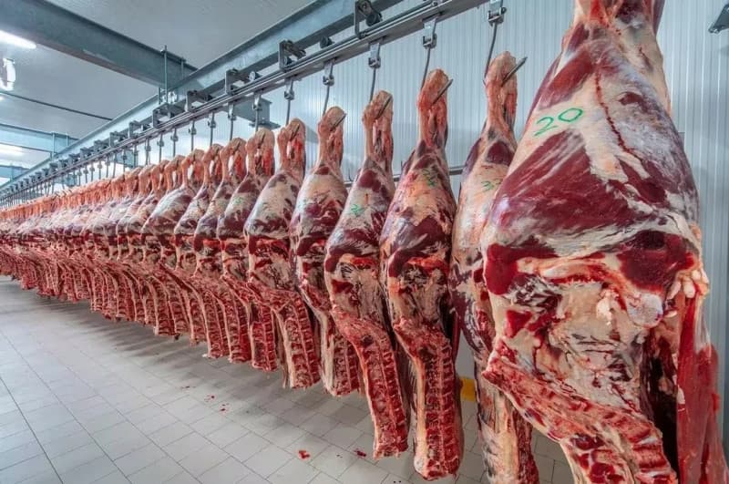 Precio de carne se mantendrá alto “entre dos y tres años”