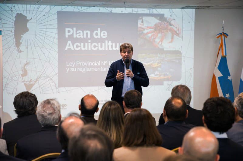 Salmonicultura: concesiones de hasta 30 años en TDF