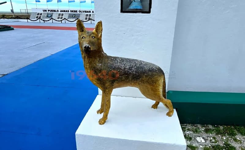 Tom, símbolo de lealtad, tiene su lugar en Río Grande