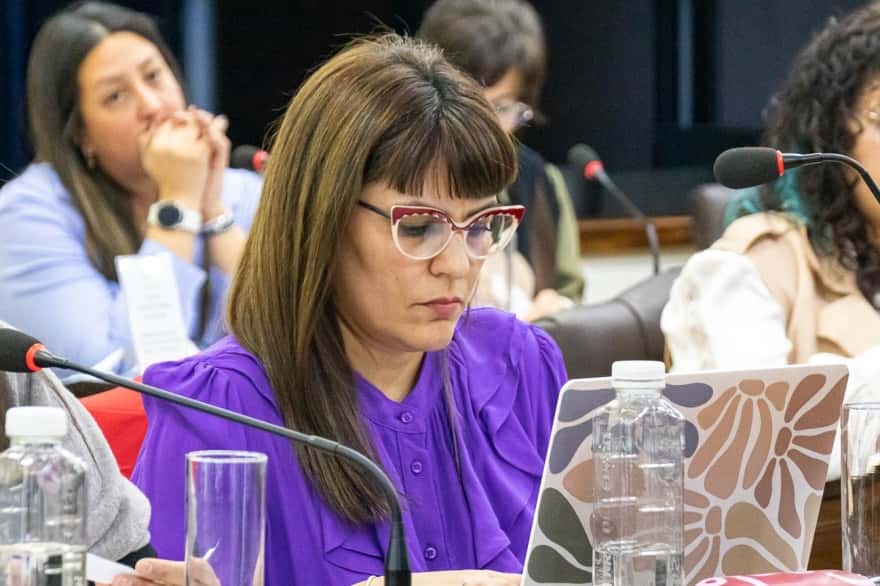 Con una elección viciada de parcialidad fueron aprobadas las titulares de la Defensoría Provincial de los Derechos del Niño