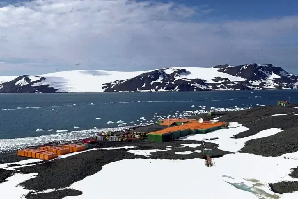 Descubrimiento brasileño revela extensión de áreas libres de hielo y vegetación en Antártida