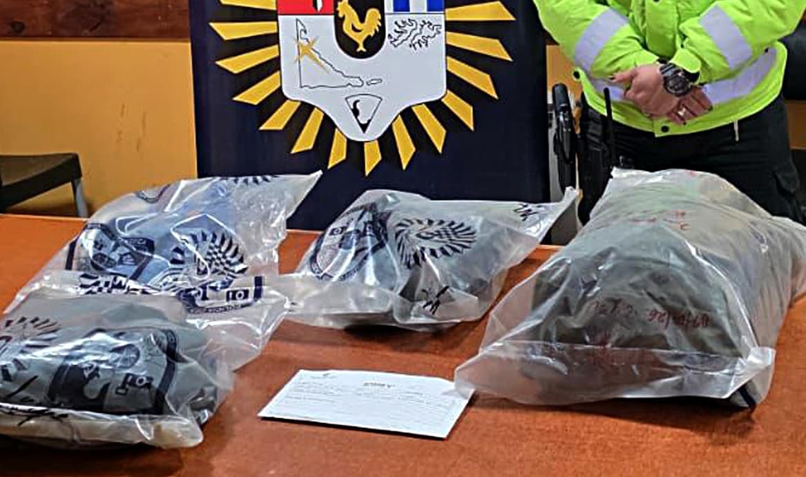 Requisa positiva en causa por hurto